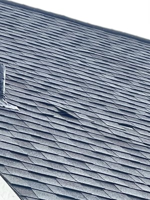 Curling and buckling shingles on a roof