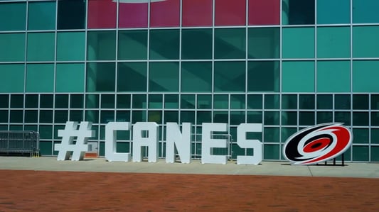 Canes thing_WebP-1
