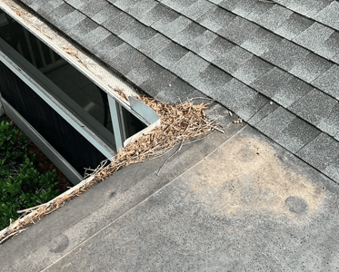 Clogged Gutters 3_WebP