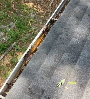 Clogged Gutters