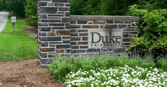 Duke_WebP-1
