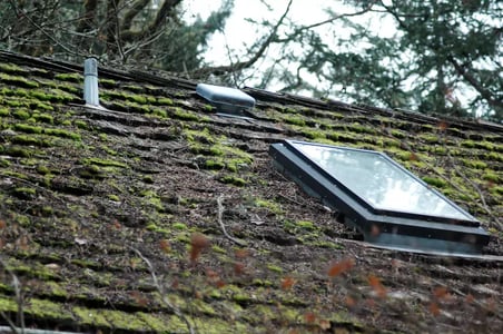 Lots of moss growth on an asphalt roof