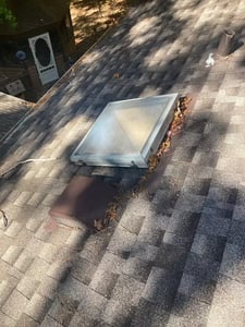 Old Skylight_WebP