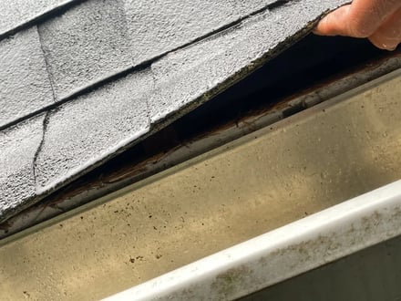 Rotted fascia board along a roofline