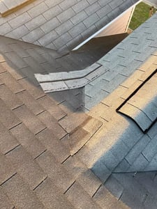 Shingles blown up