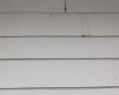 Stained siding