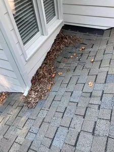 A fallen tree limb resting on a damaged residential roof