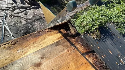 Water-stained and deteriorating roof decking viewed from inside an attic