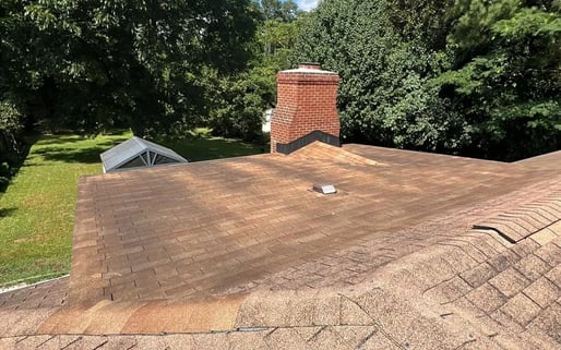 Algae staining and streaks on a shingle roof