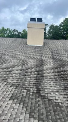 Dark algae streaks on an asphalt shingle roof