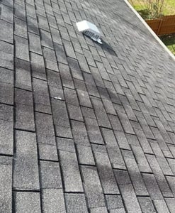 black streaks