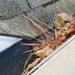 Clogged Gutters