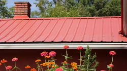 Red screw down panel metal roof_WebP