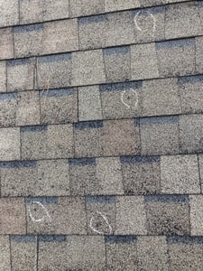 hail marks on shingles_WebP