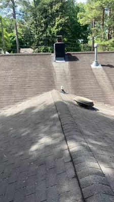 old shingles_WebP