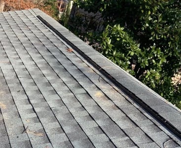 ridge vent_WebP