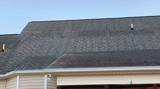 worn shingles_WebP