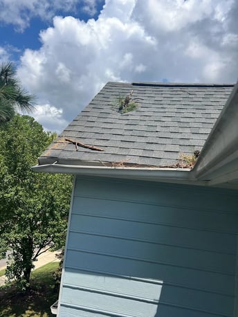 Clogged gutters full of leaves and debris