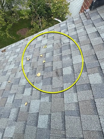 Cracked and damaged asphalt shingles