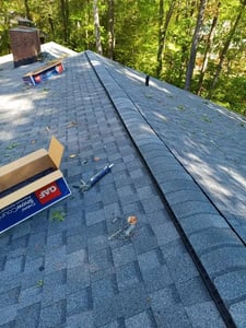 filtered ridge vent_WebP
