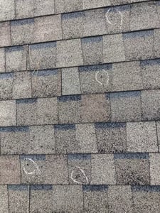hail marks on shingles_WebP