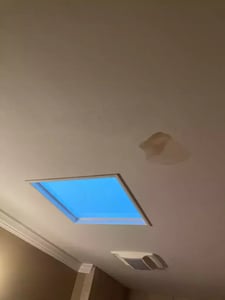 leak inside_WebP