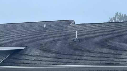 more black streaks and spots