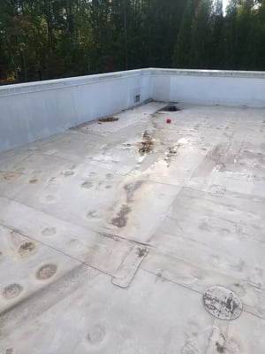 older tpo roof