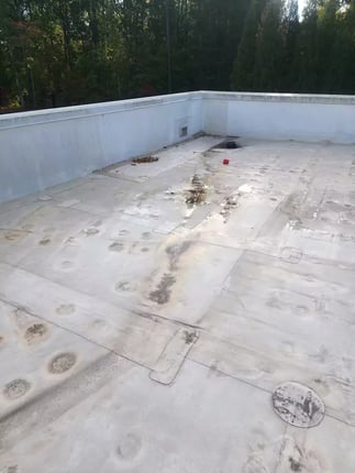 A TPO membrane roof