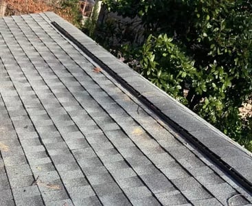 ridge vent_WebP