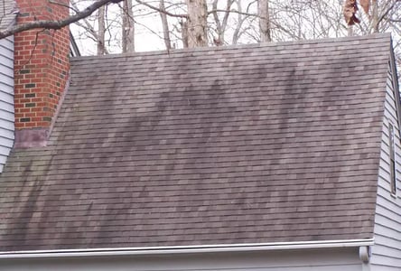roofing algae stains