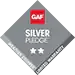 silver pledge_WebP