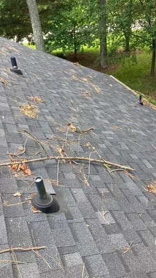 Sticks and debris on a roof after a storm