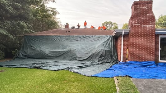 Bushes and landscaping covered with tarps during roof work