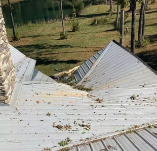 tree damaged metal roof
