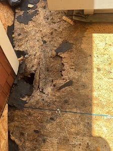 unexpected damage_WebP