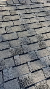 up close on horizon_WebP