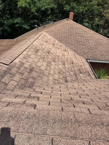 valleys_WebP