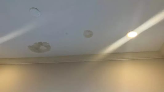 wet spot on ceiling_WebP