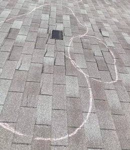 wind damage
