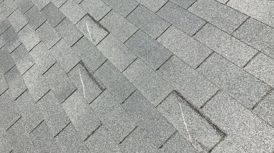 wind damaged shingles_WebP-2
