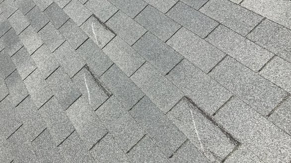 Wind-damaged shingles after a storm