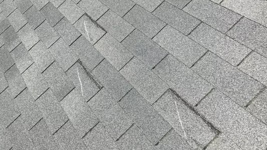 wind damaged shingles_WebP