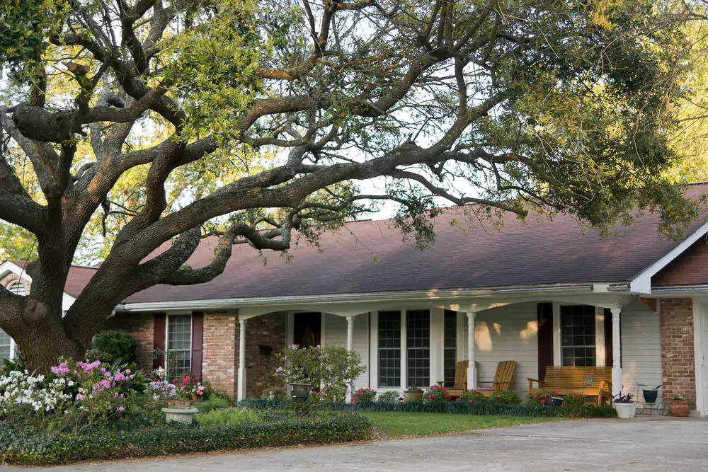 A home with large tree branches extending over the roof
