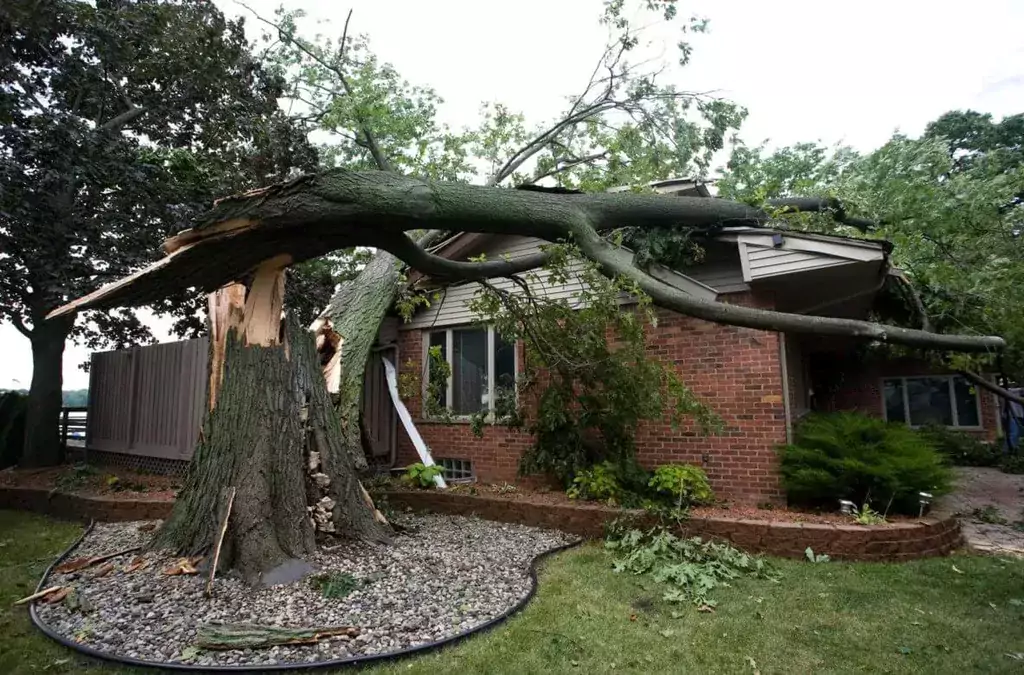 A tree that has fallen on the roof of a house