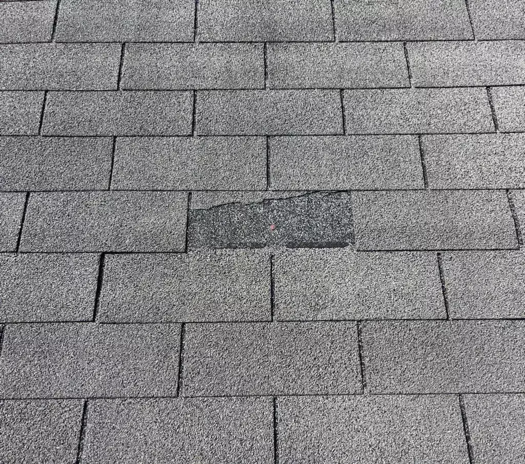Broken Shingle_WebP