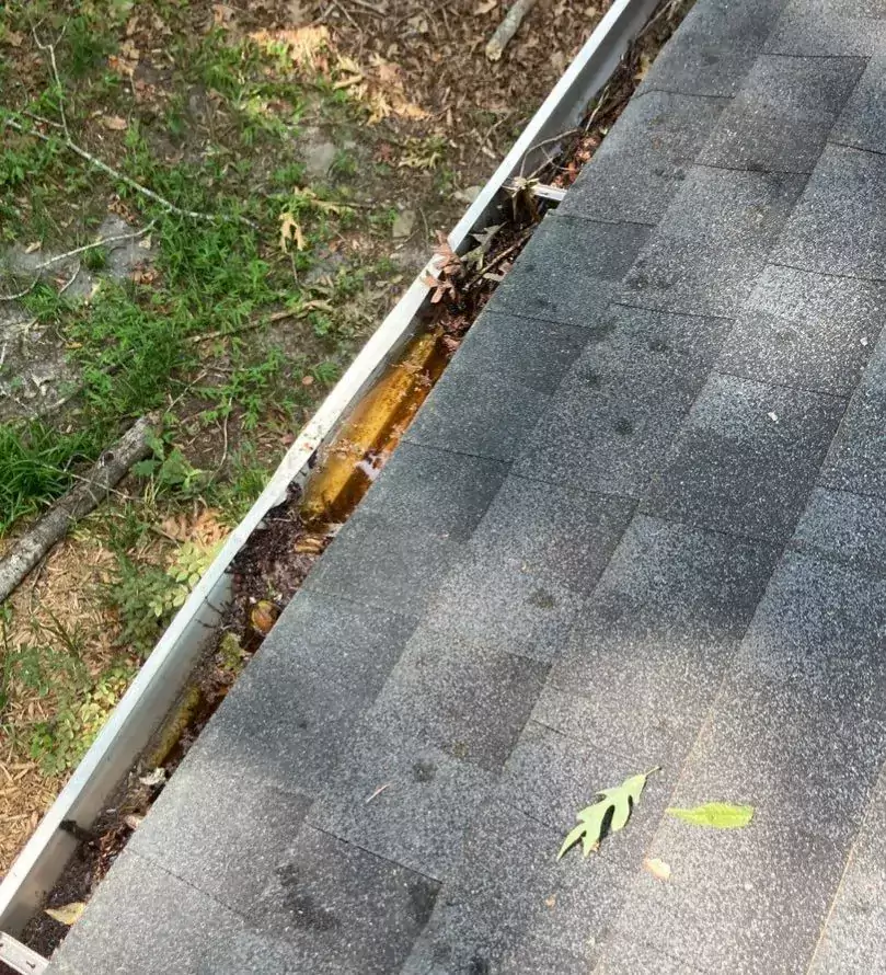 Clogged Gutters