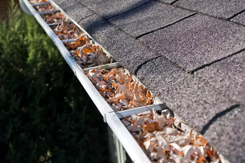 Gutter clogged with dry leaves