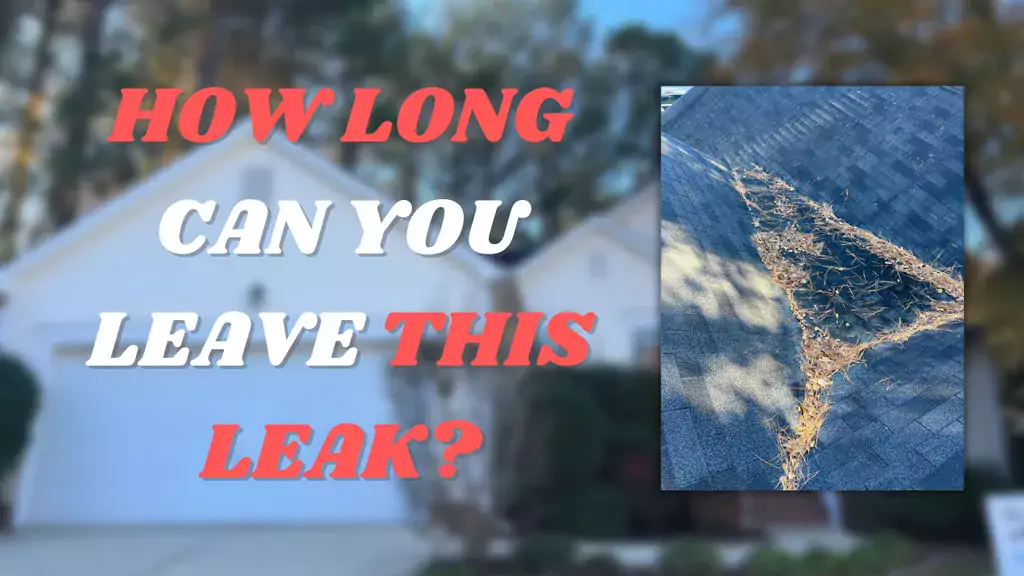 How Long Can You Leave a Leaking Roof?