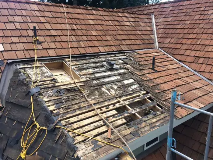 Spotlight roof-main-700x525_WebP